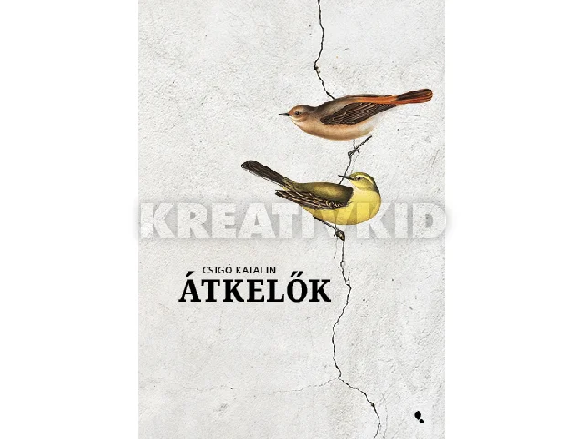 CSIGÓ KATALIN: ÁTKELŐK - FŰZÖTT