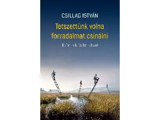 CSILLAG ISTVÁN: TETSZETTÜNK VOLNA FORRADALMAT CSINÁLNI