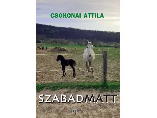 CSOKONAI ATTILA: SZABADMATT