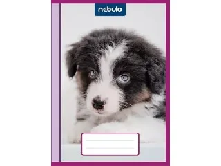 Cuki mintás bújtatós füzetborító - A/5-ös, 10 db-os csomag