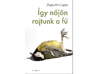 CUPSA, AUGUSTIN: ÍGY NŐJÖN RAJTUNK A FŰ