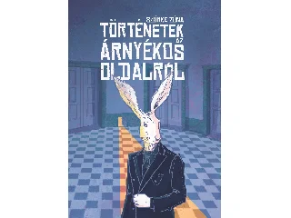 DANI ÉS REZSŐ: TÖRTÉNETEK AZ ÁRNYÉKOS OLDALRÓL - SZÜRKE ZÓNA