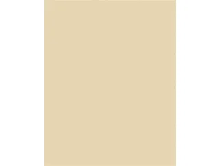 Dekorkarton, 2 oldalas, 50x70cm, 220 g, 10 lap, FOLIA, bézs