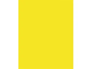 Dekorkarton, 2 oldalas, 50x70cm, 220 g, 10 lap, FOLIA, citromsárga