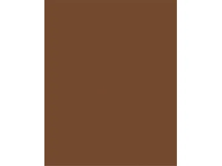 Dekorkarton, 2 oldalas, 50x70cm, 220 g, 10 lap, FOLIA, csokoládé barna