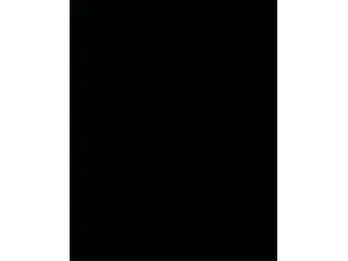 Dekorkarton, 2 oldalas, 50x70cm, 220 g, 10 lap, FOLIA, fekete