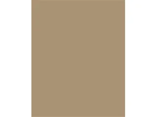 Dekorkarton, 2 oldalas, 50x70cm, 220 g, 10 lap, FOLIA, őzbarna