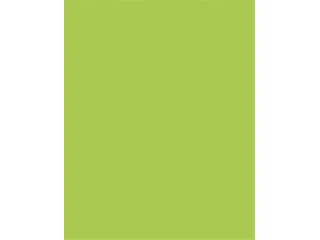 Dekorkarton, 2 oldalas, 50x70cm, 220 g, 10 lap, FOLIA, tavaszzöld