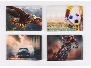 Diák- és igazolványtartó, fekvő, 6 betét lappal, mintás PVC,