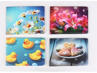 Diák- és igazolványtartó, fekvő, 6 betét lappal, mintás PVC,