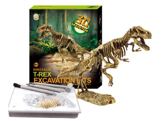Dinoszaurusz régész készlet, T-Rex
