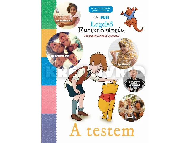 DISNEY SULI - LEGELSŐ ENCIKLOPÉDIÁM - A TESTEM