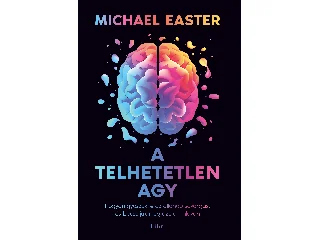 EASTER, MICHAEL: A TELHETETLEN AGY - HOGYAN GYŐZZÜK LE AZ ÁLLANDÓ SÓVÁRGÁST ÉS BECSÜLJÜK MEG AZT,