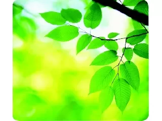 Egéralátét, újrahasznosított, FELLOWES 