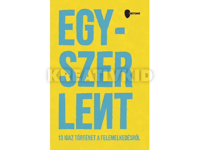 EGYSZER LENT - 13 IGAZ TÖRTÉNET A FELEMELKEDÉSRŐL