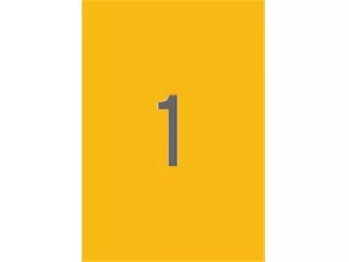 Etikett, 210x297 mm, színes, APLI, neon narancs, 20 etikett/csomag