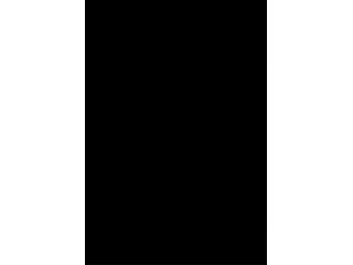 EZ ÁLLATI! - ÉRDEKESSÉGEK AZ ÁLLATVILÁGBÓL - ÚJ BORÍTÓ