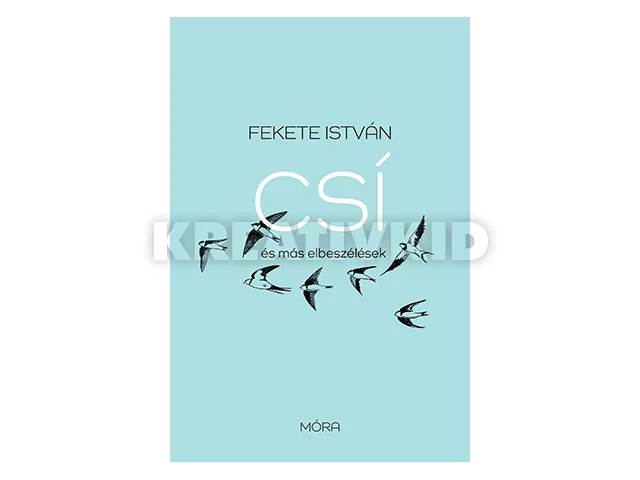 FEKETE ISTVÁN: CSÍ ÉS MÁS ELBESZÉLÉSEK