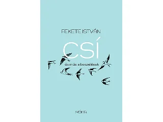 FEKETE ISTVÁN: CSÍ ÉS MÁS ELBESZÉLÉSEK