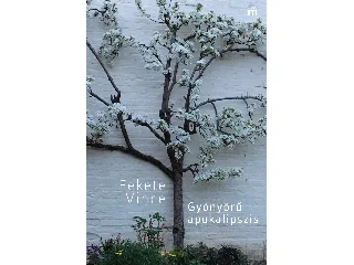 FEKETE VINCE: GYÖNYÖRŰ APOKALIPSZIS