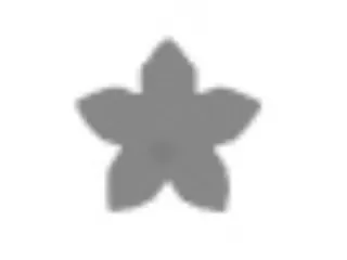 Formalyukasztó 38 mm, Virág, öt szirmú