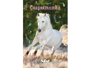 FUNNELL, PIPPA: TILLY ÉS TÁLTOS 3. - CSAPATMUNKA