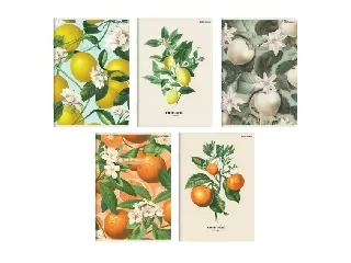 Füzet Summer Harvest Club A5/60 lap vonalas, soft touch fóliával