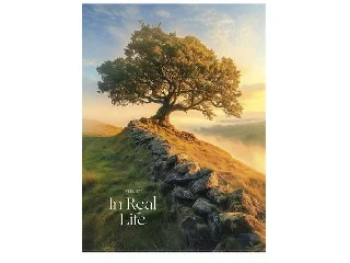 Füzet, tűzött, A4, kockás, 40 lap, SHKOLYARYK 