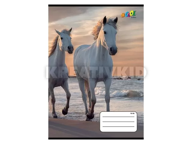 Füzet, tűzött, A5, vonalas, 32 lap, 3. osztály, COOL BY VICTORIA, 