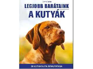 GÉCZI ZOLTÁN: LEGJOBB BARÁTAINK A KUTYÁK