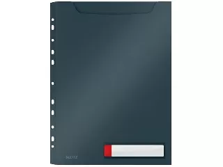 Genotherm, lefűzhető, A4 maxi, LEITZ 