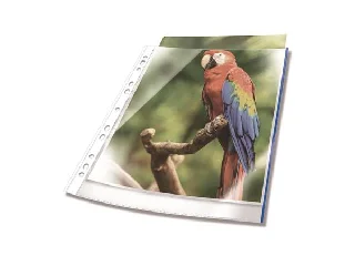 Genotherm, lefűzhető, PP, A4, 80 mikron, DURABLE