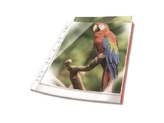 Genotherm, lefűzhető, PP, A4, 80 mikron, DURABLE