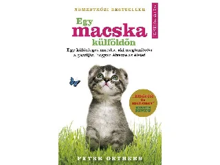 GETHERS, PETER: EGY MACSKA KÜLFÖLDÖN