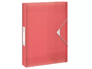 Gumis mappa, 40 mm, PP, A4, ESSELTE 