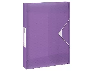 Gumis mappa, 40 mm, PP, A4, ESSELTE 