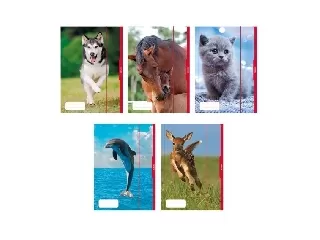 Gumis mappa A3 Állatok Őz