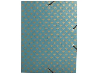 Gumis mappa, karton, A4, 40 mm, EXACOMPTA 