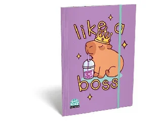 Gumis mappa, karton, A4, LIZZYSULI, Lollipop Capibara