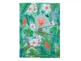 Gumis mappa PP Ladylike Jungle