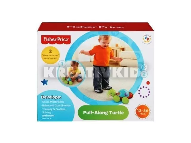 Gurulós teknőcpajtás