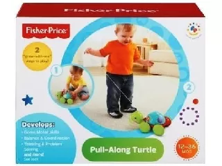 Gurulós teknőcpajtás