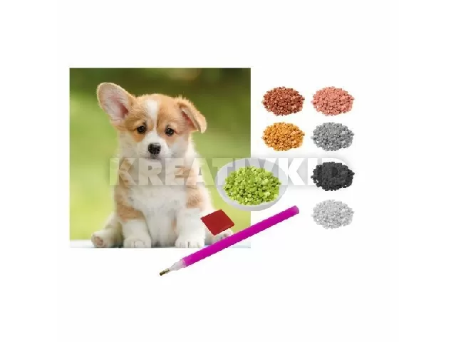 Gyémánt kirakó - 20x20cm vászonkép kutya