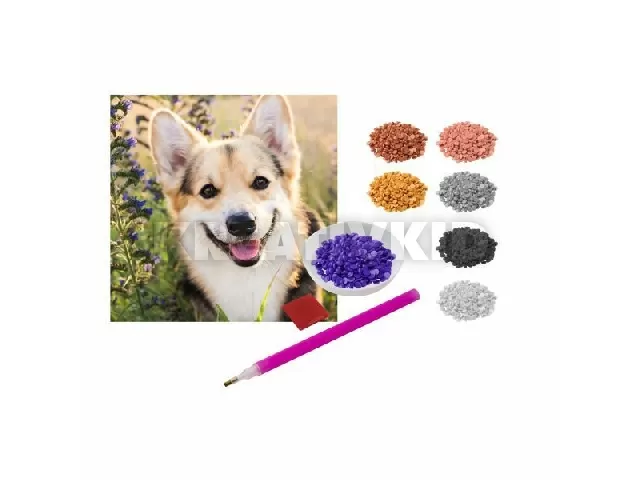 Gyémánt kirakó - 30x30cm vászonkép kutya