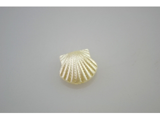 Gyöngy akril 16x15mm kagyló shell fehér gyöngy fűzhető 20 db/csom