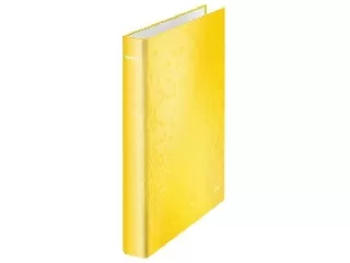 Gyűrűs könyv, 2 gyűrű, D alakú, 40 mm, A4 Maxi, karton, LEITZ