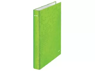 Gyűrűs könyv, 2 gyűrű, D alakú, 40 mm, A4 Maxi, karton, LEITZ