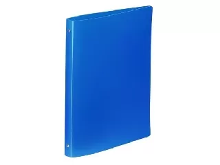 Gyűrűs könyv, 4 gyűrű, 25 mm, A4, PP, VIQUEL