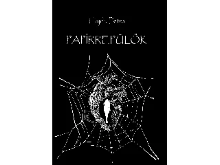 HAJDU PETRA: PAPÍRREPÜLŐK - EGY ESTE