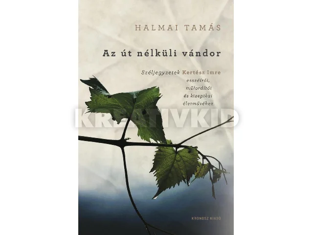 HALMAI TAMÁS: AZ ÚT NÉLKÜLI VÁNDOR